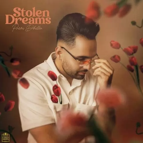 Stolen Dreams Songs