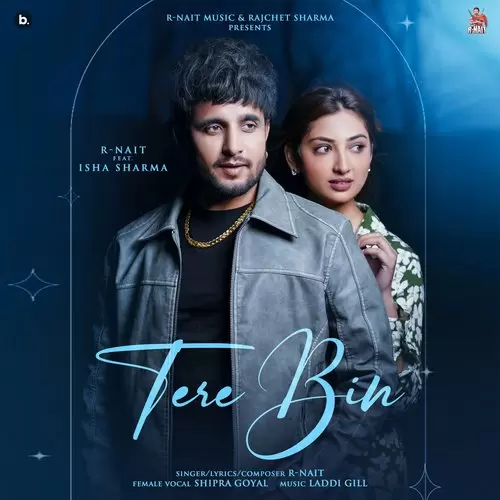 Tere Bin R Nait Mp3 Download Song - Mr-Punjab