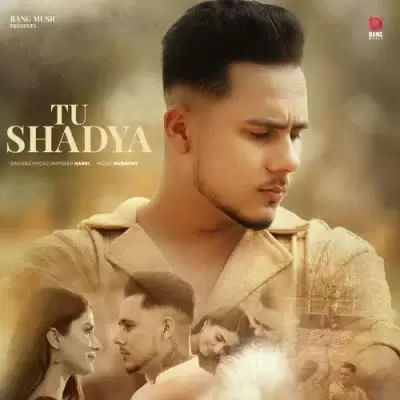 Tu Shadya Harvi Mp3 Download Song - Mr-Punjab