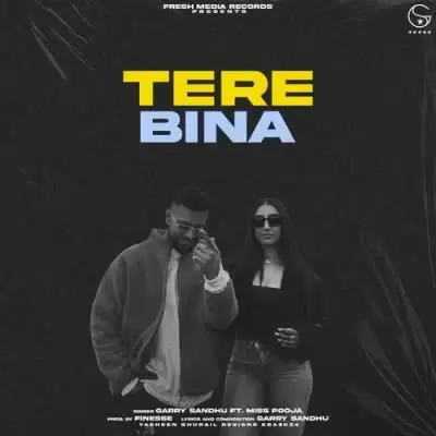 Tere Bina Garry Sandhu Mp3 Download Song - Mr-Punjab