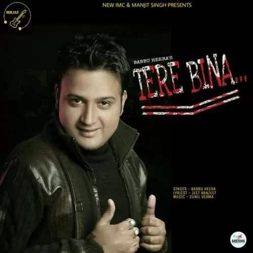 Tere Bina Babbu Heera Mp3 Download Song - Mr-Punjab