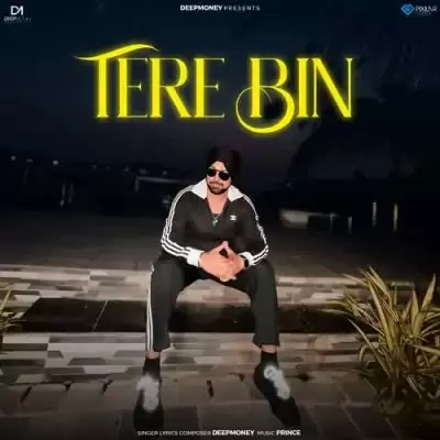 Tere Bin Deep Money Mp3 Download Song - Mr-Punjab