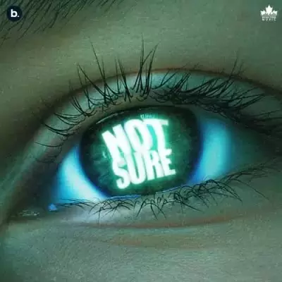 Not Sure Cheema Y Mp3 Download Song - Mr-Punjab