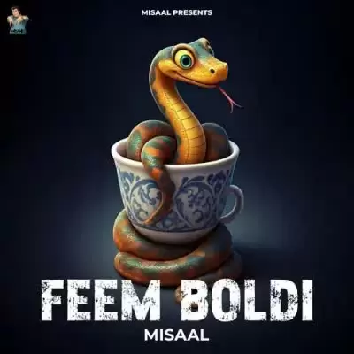 Feem Boldi Misaal Mp3 Download Song - Mr-Punjab