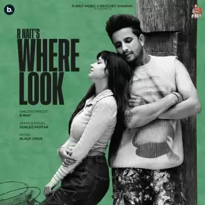 Where Look R Nait Mp3 Download Song - Mr-Punjab