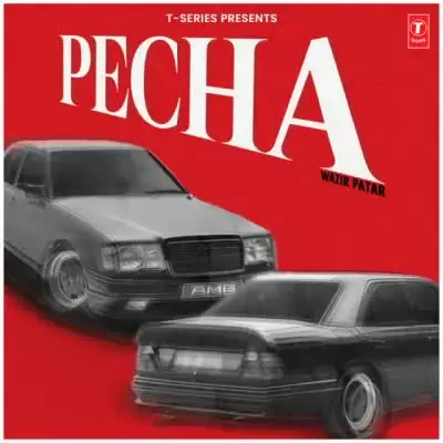 Pecha Wazir Patar Mp3 Download Song - Mr-Punjab