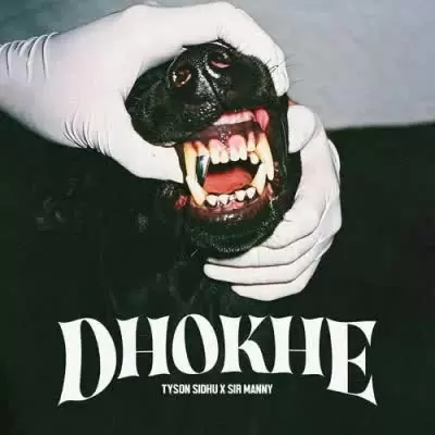 Dhokhe Tyson Sidhu Mp3 Download Song - Mr-Punjab