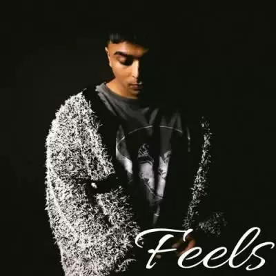 Feels Gurinder Gill Mp3 Download Song - Mr-Punjab