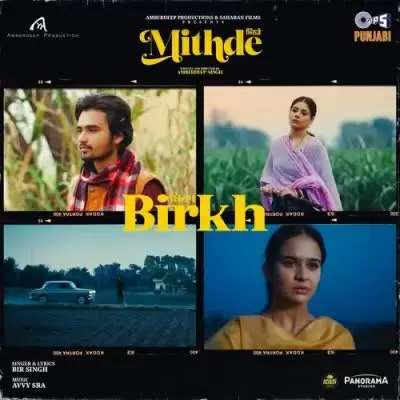 Birkh Bir Singh Mp3 Download Song - Mr-Punjab