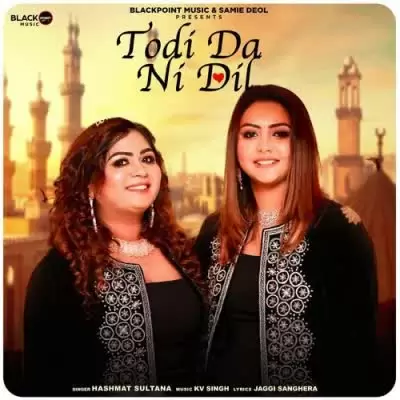 Todi Da Ni Dil Hashmat Sultana Mp3 Download Song - Mr-Punjab