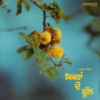 Kikran De Phull Arjan Dhillon Mp3 Download Song - Mr-Punjab