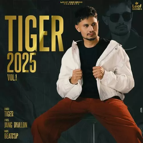Kaun Hou ? Tiger Mp3 Download Song - Mr-Punjab
