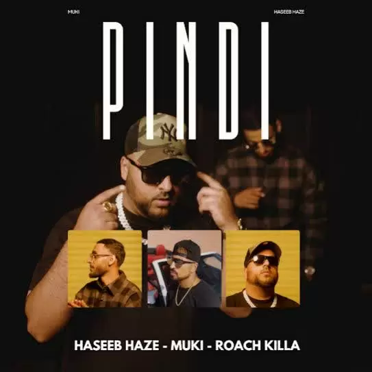Pindi Haseeb Haze Mp3 Download Song - Mr-Punjab