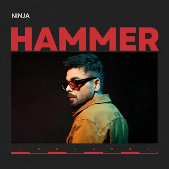 Hammer Ninja Mp3 Download Song - Mr-Punjab