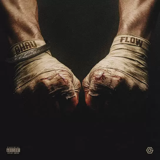 Bhau Flow Gurinder Gill Mp3 Download Song - Mr-Punjab