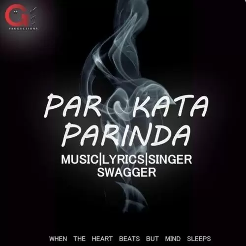 Par Kata Parinda Swagger Mp3 Download Song - Mr-Punjab