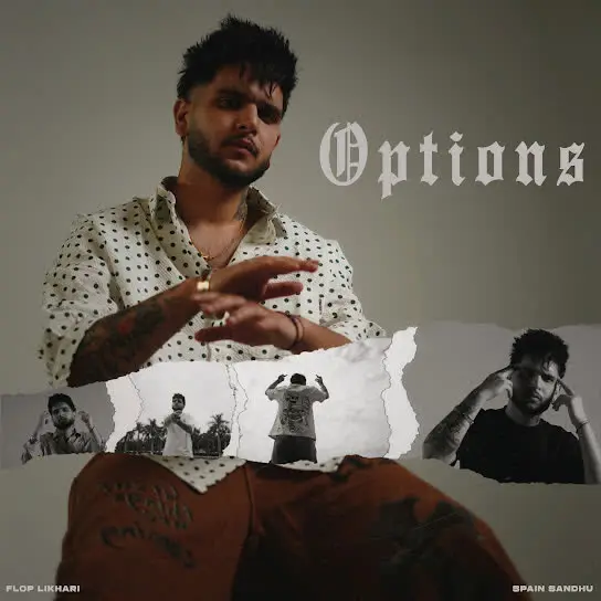 Options Flop Likhari Mp3 Download Song - Mr-Punjab