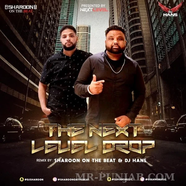 The Next Level Drop Dj Hans Mp3 Download Song - Mr-Punjab