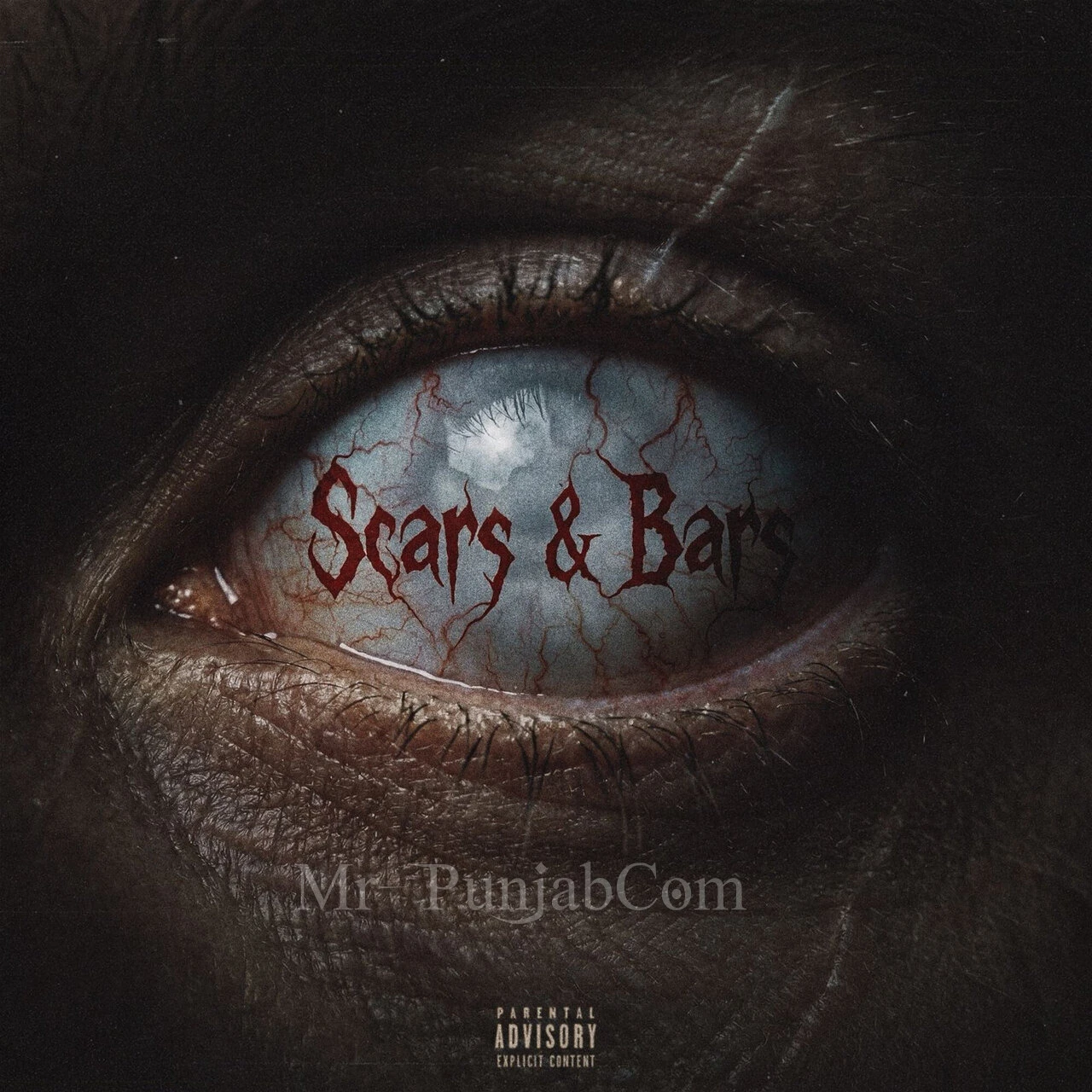 Scars & Bars Songs