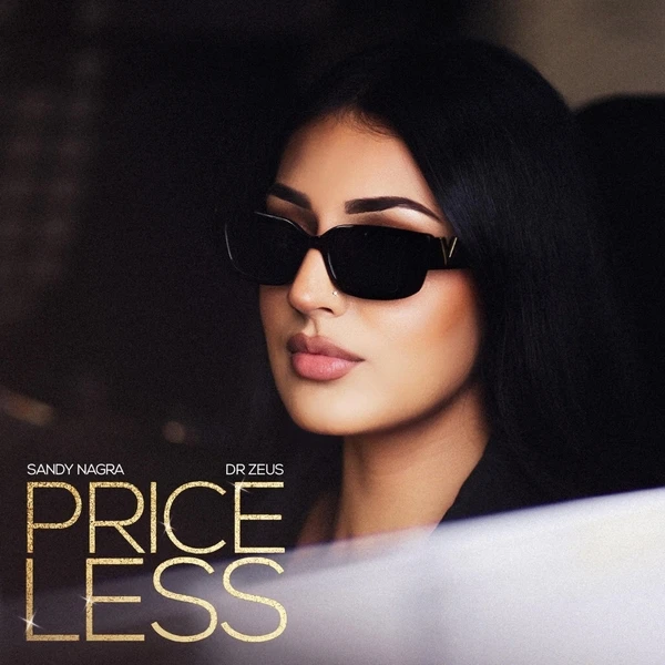 Priceless Sandy Nagra Mp3 Download Song - Mr-Punjab
