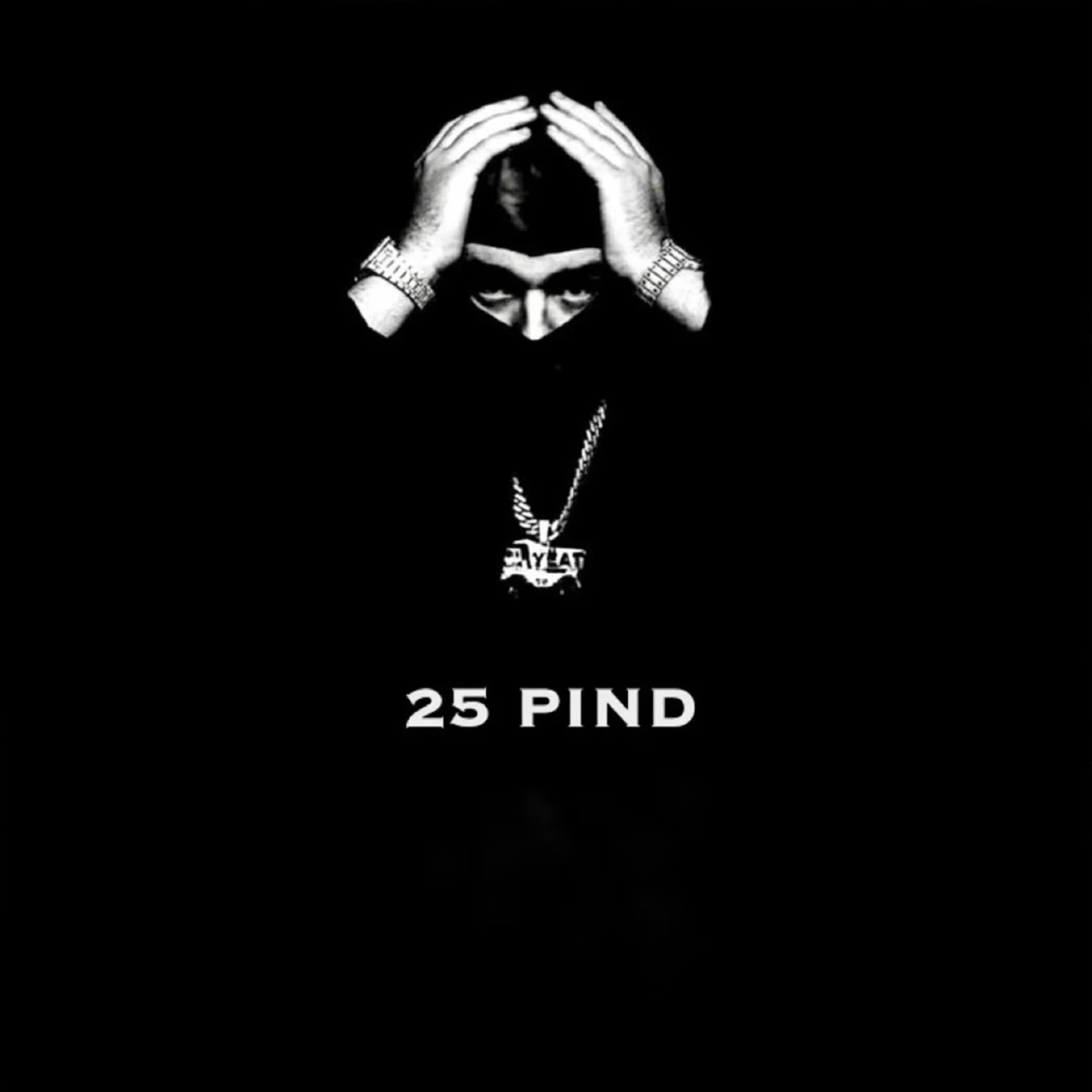 25 PIND Jas Dhaliwal Mp3 Download Song - Mr-Punjab