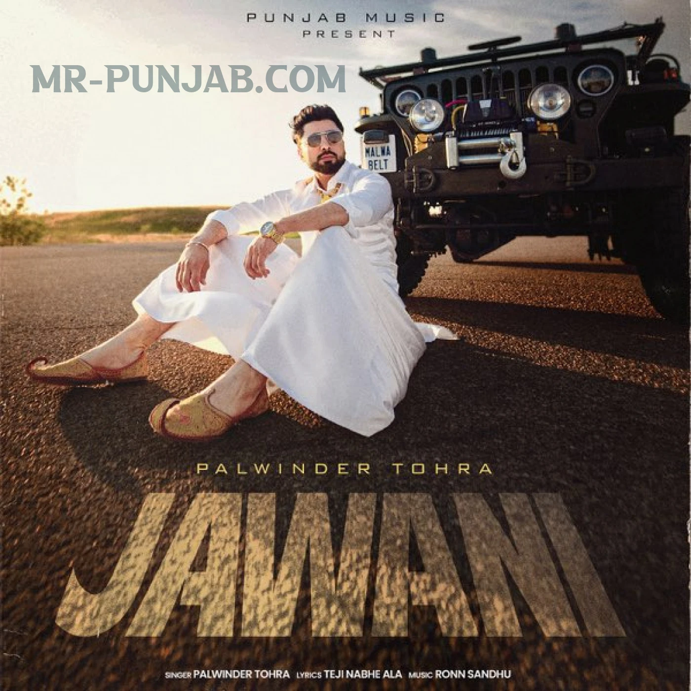 Jawani Palwinder Tohra Mp3 Download Song - Mr-Punjab