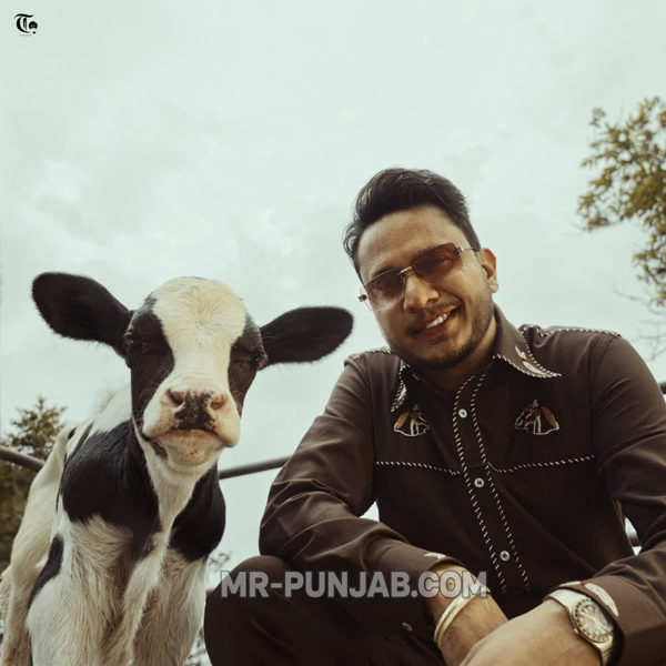 Casa Bella Hustinder Mp3 Download Song - Mr-Punjab