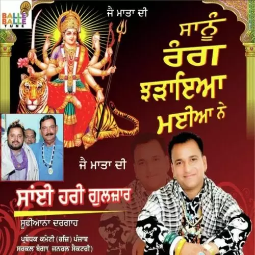 Sanu Rang Chadaya Hari Gulzar Mp3 Download Song - Mr-Punjab