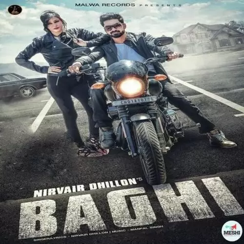 Baghi Nirvair Dhillon Mp3 Download Song - Mr-Punjab