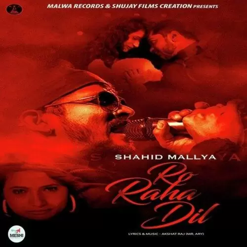 Ro Raha Dil Shahid Mallya Mp3 Download Song - Mr-Punjab