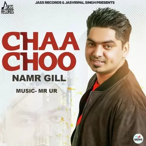 Chaa Choo Namar Gill Mp3 Download Song - Mr-Punjab