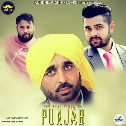 The Real Tiger Of Punjab Manveer Mehtab Mp3 Download Song - Mr-Punjab