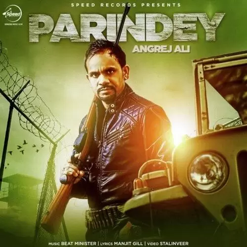 Parindey Angrej Ali Mp3 Download Song - Mr-Punjab